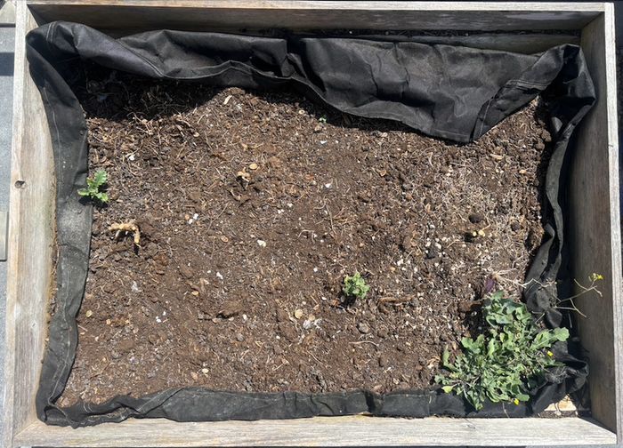 VegTrug Trough Planter 1 m