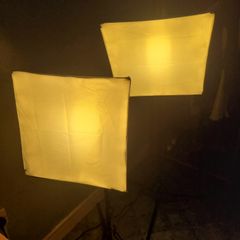 Two Softboxes (with Remote)