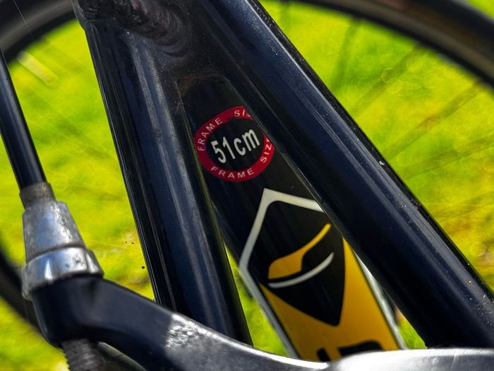 Carrera Road Bike