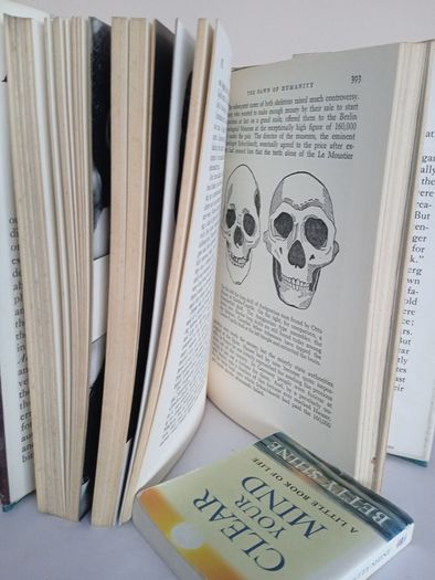 In Search of Adam: The Story of Man's Quest for the Truth about His Earliest Ancestors by Herbert Wendt. Translated from the German by James Cleugh (GT110)