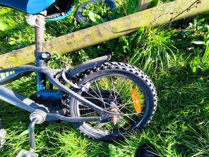 Champion bike