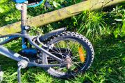 Champion bike