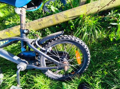 Champion bike