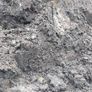 Well mature Manure Image 3