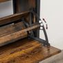 Vintage Shoe Cabinet with 2 Flaps Dustproof Image 5