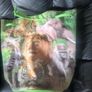 Dublin Zoo back pack Image 8