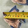 Set of 2 Wade Ireland Ceramic Fish Dish Vintage Figurine , Made In Ireland , Collectible Image 3