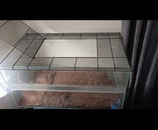 glass tank