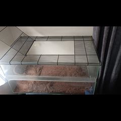 glass tank
