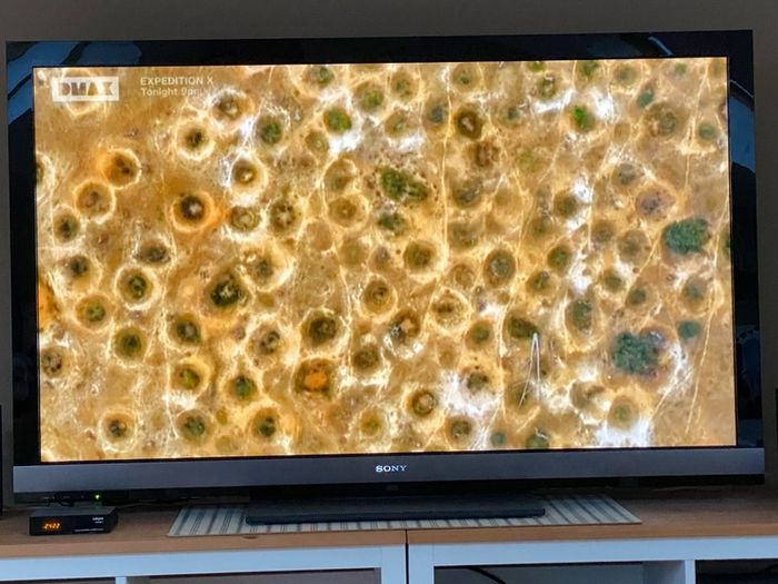 Sony Tv 60 Inch