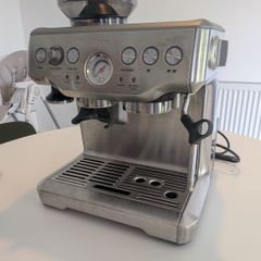 sage barista