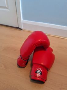 12oz Fight Rite Boxing Gloves