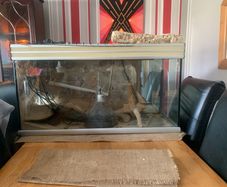Vivarium bundle