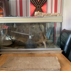 Vivarium bundle