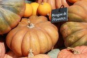(P) Pumpkin Musque De Provence seeds 1g (123568)