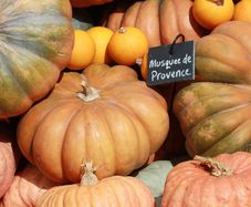 (P) Pumpkin Musque De Provence seeds 1g (123568)