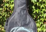 Acoustic Bass Bag