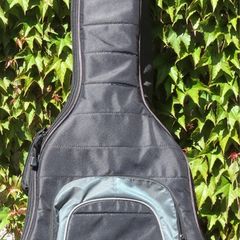 Acoustic Bass Bag
