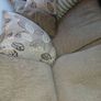 3 and 1 sofa Image 3