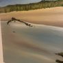 Beautiful beach painting on canvas by up and coming local artist.Phil Daly Image 4