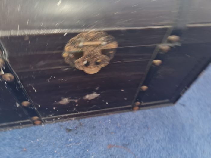 Trunk