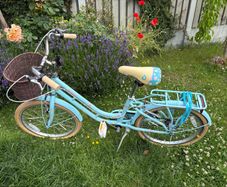 Girls Bike with a Basket 20 inch