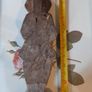 Folk Art Chip Carved Man Image 7