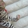 Schleich Wildlife White Tiger Figure 14731 Dirty Please look at the pictures Image 8