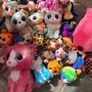 Beanie Boo Teddy Collection Image 2