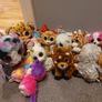 beanie boo  collection (37 many new with tags) Image 4
