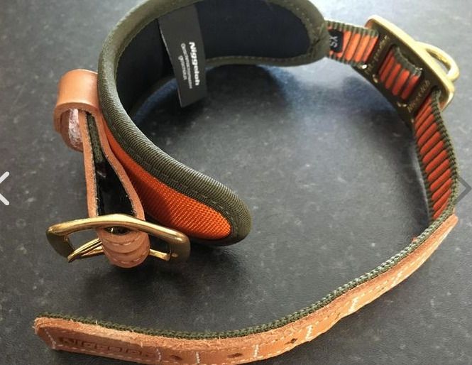New dog collar by Niggeloh