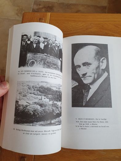 Fili An tSulain by Padraig O'Tuathaigh.