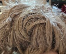 Range of Fun Acrylic Wigs