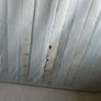 Free used double mattress Image 5
