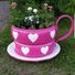 jane.purcell.54