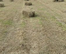 Small square bales and round bales of hay