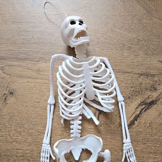 Rubber mini skeleton 30cm
