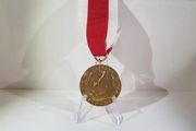 Polish Medal of Merit 1st Class