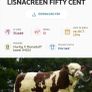 Purebred Simmental bull Image 9