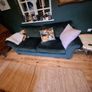 Velvet sofa Image 2