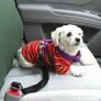 Pet Dog Cat Car Seat Belt For Accessories Goods Animals Adjustable Harness Image 2