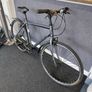Ridgeback Velocity Image 2
