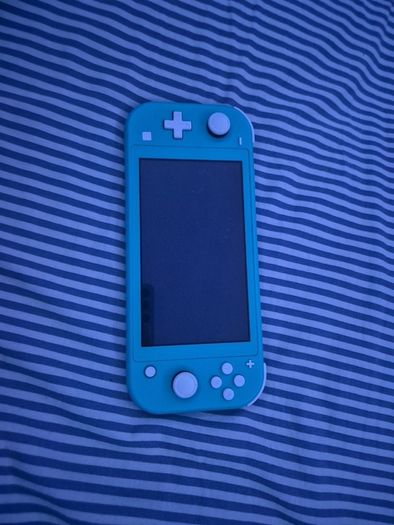 switch lite