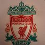 Liverpool FC. Official Adidas Mens Polo Shirt. Authentic Carlsberg Era Item. Collect In Dublin Or Receive Via Post. Image 5