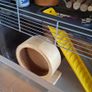 Hamster Cage Image 5