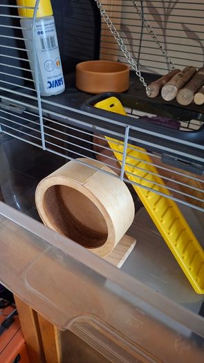 Hamster Cage