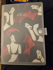 Chica Diary By Chamaco. In Good Condition. See Photos For Same.