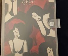 Chica Diary By Chamaco. In Good Condition. See Photos For Same.