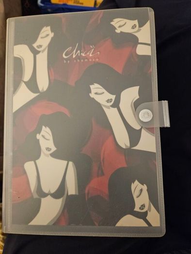 Chica Diary By Chamaco. In Good Condition. See Photos For Same.