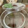 Vintage Calla Lily Oval Glass Lidded Dish Keepsake Box France Image 9